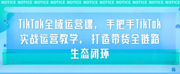 TikTok全域运营课，手把手TikTok实战运营教学，打造带货全链路生态闭环-云库资源