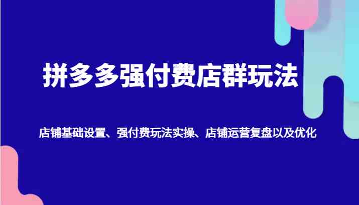 拼多多强付费店群玩法：店铺基础设置、强付费玩法实操、店铺运营复盘以及优化-云库资源