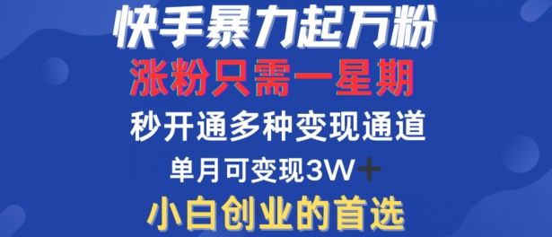 快手暴力起万粉，涨粉只需一星期，多种变现模式，直接秒开万合，单月变现过W【揭秘】-云库资源
