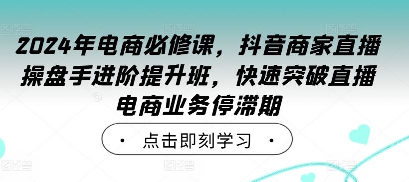 2024年电商必修课，抖音商家直播操盘手进阶提升班，快速突破直播电商业务停滞期-云库资源