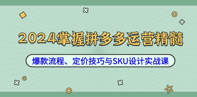 （12703期）2024掌握拼多多运营精髓：爆款流程、定价技巧与SKU设计实战课-云库资源