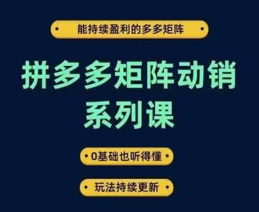 拼多多矩阵动销系列课，能持续盈利的多多矩阵，0基础也听得懂，玩法持续更新-云库资源