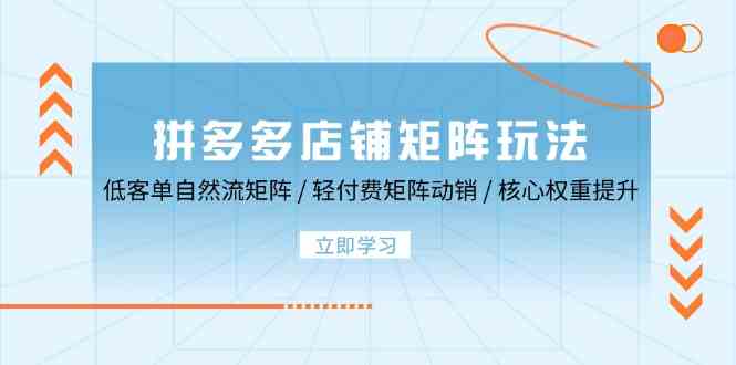 拼多多店铺矩阵玩法：低客单自然流矩阵 / 轻付费矩阵 动销 / 核心权重提升-云库资源
