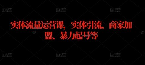 实体流量运营课，实体引流、商家加盟、暴力起号等-云库资源