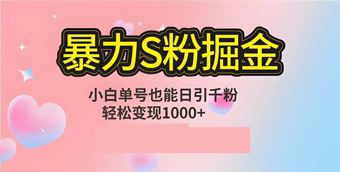 （12778期）单人单机日引千粉，变现1000+，S粉流量掘金计划攻略-云库资源