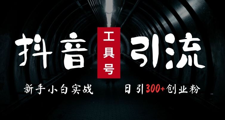 2024最新抖音工具号引流玩法，高效日引300+创业粉，当天变现5k，小白也可成为实战高手-云库资源