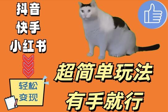 超简单玩法，有手就行，靠猫咪视频日入500+【揭秘】-云库资源