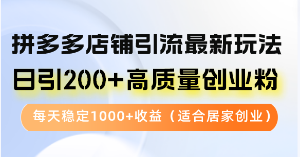 （12893期）拼多多店铺引流最新玩法，日引200+高质量创业粉，每天稳定1000+收益（…-云库资源