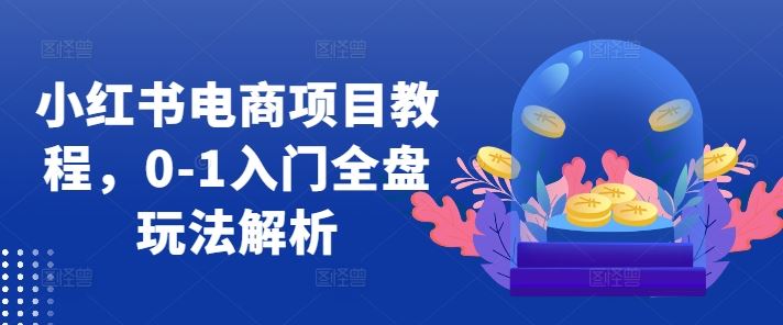 小红书电商项目教程，0-1入门全盘玩法解析-云库资源