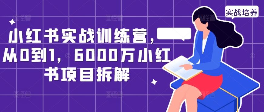 小红书实战训练营，从0到1，6000万小红书项目拆解-云库资源