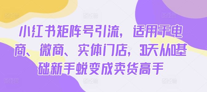 小红书矩阵号引流，适用于电商、微商、实体门店，30天从0基础新手蜕变成卖货高手-云库资源