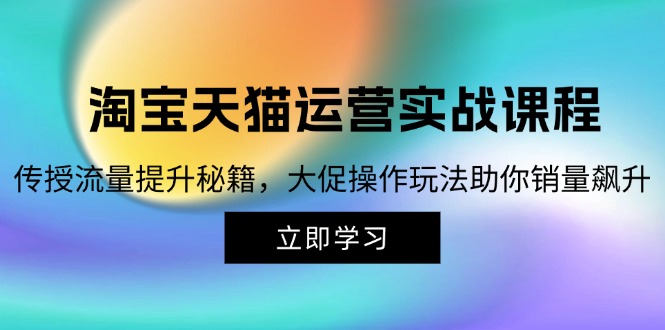 （12959期）淘宝&天猫运营实战课程，传授流量提升秘籍，大促操作玩法助你销量飙升-云库资源