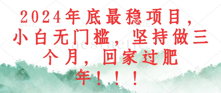 （12970期）2024年底最稳项目，小白无门槛，坚持做三个月，回家过肥年！！！-云库资源