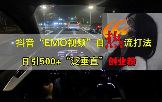 抖音EMO视频自热打法，日引500+“泛垂直”创业粉-云库资源