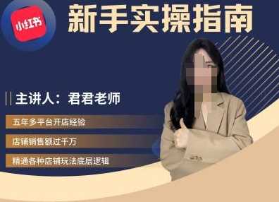 君君-小红书电商从入门到精通，新手实操指南-云库资源
