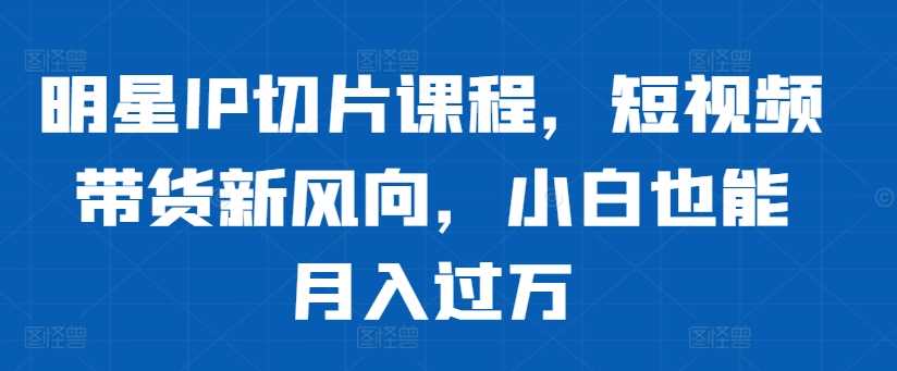 明星IP切片课程，短视频带货新风向，小白也能月入过万-云库资源