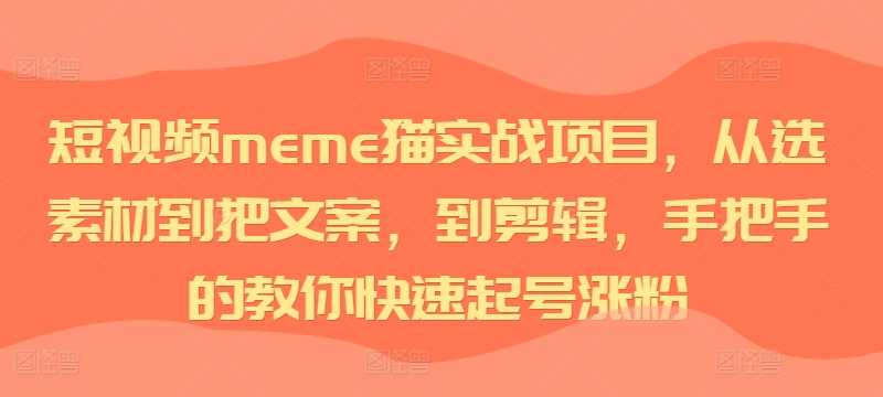 短视频meme猫实战项目，从选素材到把文案，到剪辑，手把手的教你快速起号涨粉-云库资源