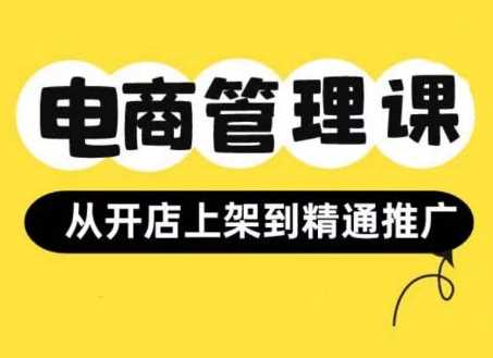 小红书&闲鱼开店从开店上架到精通推广，电商管理课-云库资源