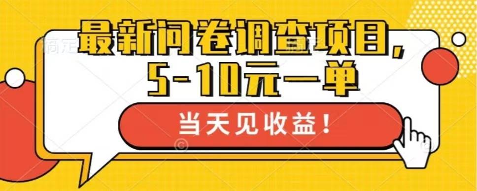 （13167期）最新问卷调查项目，单日零撸100＋-云库资源