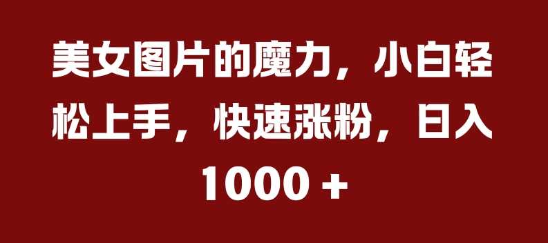 美女图片的魔力，小白轻松上手，快速涨粉，日入几张【揭秘】-云库资源