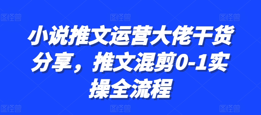 小说推文运营大佬干货分享，推文混剪0-1实操全流程-云库资源