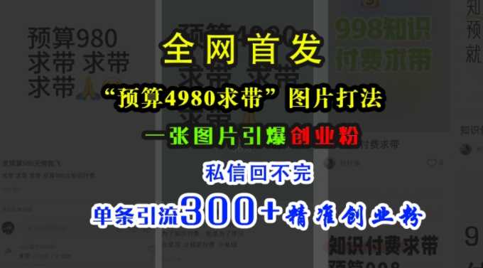 小红书“预算4980带我飞”图片打法，一张图片引爆创业粉，私信回不完，单条引流300+精准创业粉-云库资源