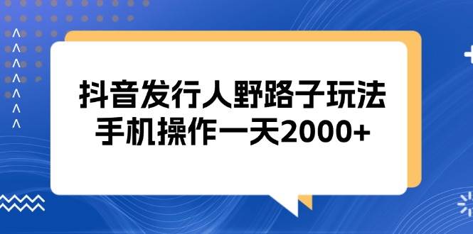 （13220期）抖音发行人野路子玩法，手机操作一天2000+-云库资源