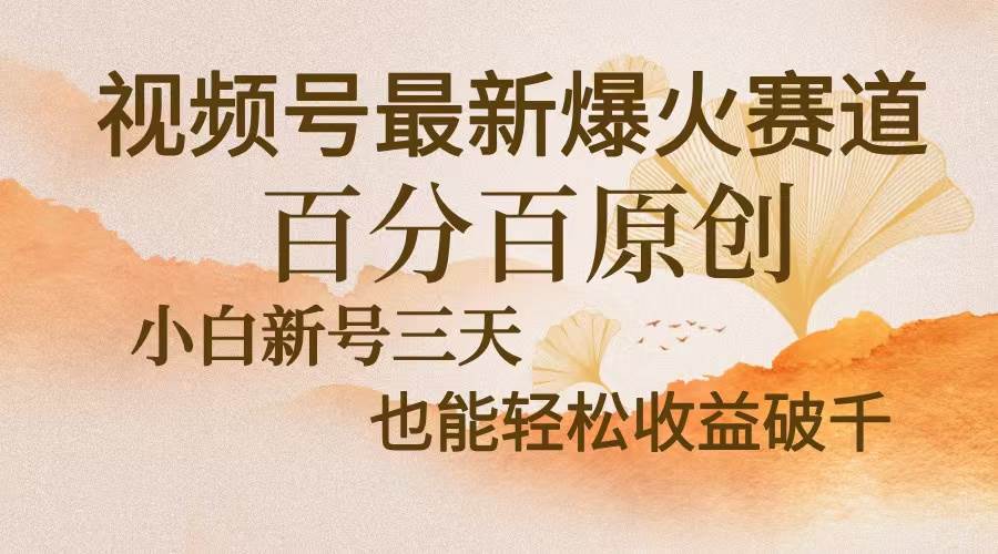 （13225期）视频号最新爆火赛道，中老年粉深信不疑，百分百原创，新号三天收益轻松…-云库资源