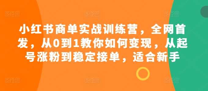 小红书商单实战训练营，全网首发，从0到1教你如何变现，从起号涨粉到稳定接单，适合新手-云库资源