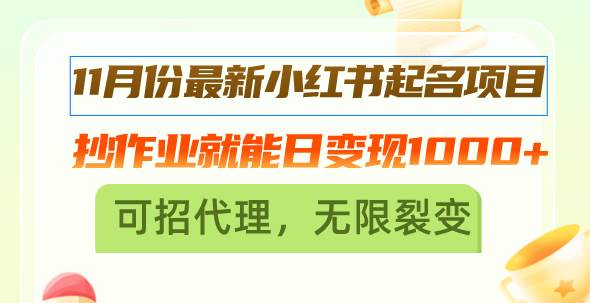 （13256期）11月份最新小红书起名项目，抄作业就能日变现1000+，可招代理，无限裂变-云库资源