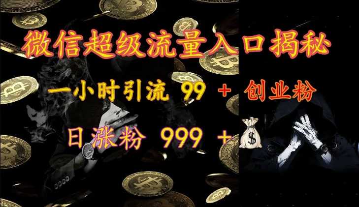 微信超级流量入口揭秘：一小时引流 99 + 创业粉，日涨粉 999 +-云库资源