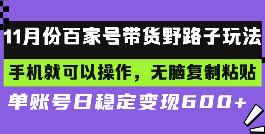 （13281期）百家号带货野路子玩法 手机就可以操作，无脑复制粘贴 单账号日稳定变现…-云库资源