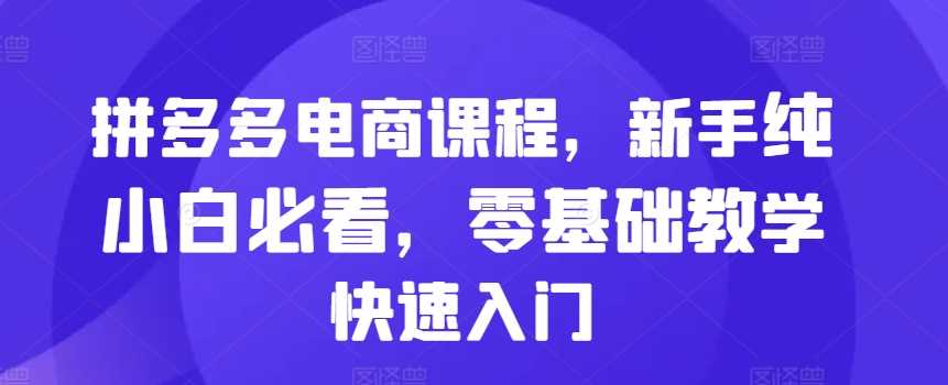 拼多多电商课程，新手纯小白必看，零基础教学快速入门-云库资源