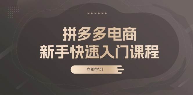 （13289期）拼多多电商新手快速入门课程：涵盖基础、实战与选款，助力小白轻松上手-云库资源