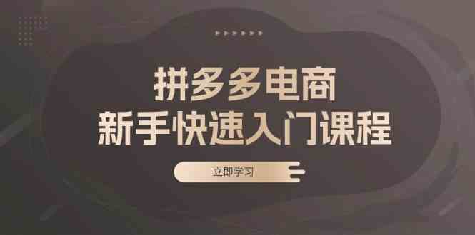 拼多多电商新手快速入门课程：涵盖基础、实战与选款，助力小白轻松上手-云库资源