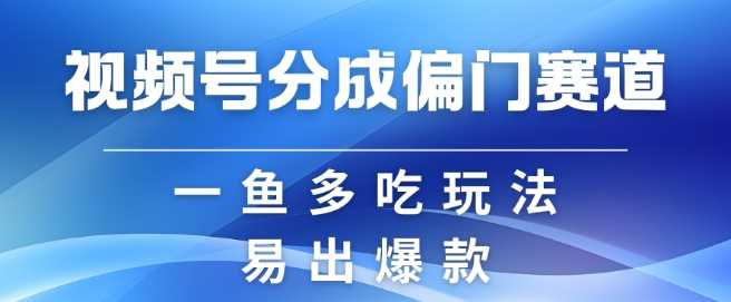视频号创作者分成计划偏门类目，容易爆流，实拍内容简单易做【揭秘】-云库资源
