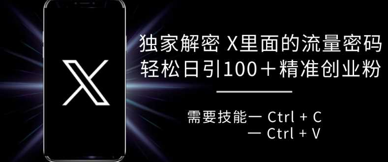 独家解密 X 里面的流量密码，复制粘贴轻松日引100+-云库资源