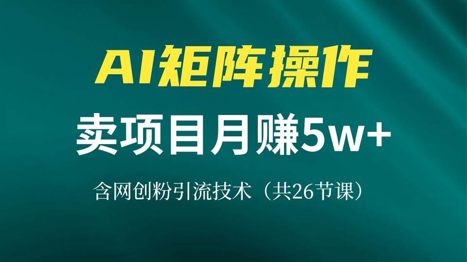 （13335期）网创IP打造课，借助AI卖项目月赚5万+，含引流技术（共26节课）-云库资源