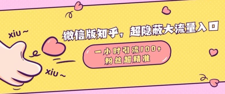微信版知乎，超隐蔽流量入口1小时引流100人，粉丝质量超高【揭秘】-云库资源