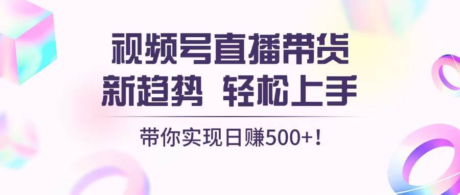 （13370期）视频号直播带货新趋势，轻松上手，带你实现日赚500+-云库资源