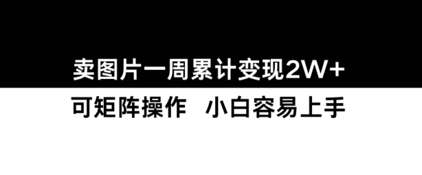 小红书【卖图片】一周累计变现2W+小白易上手-云库资源