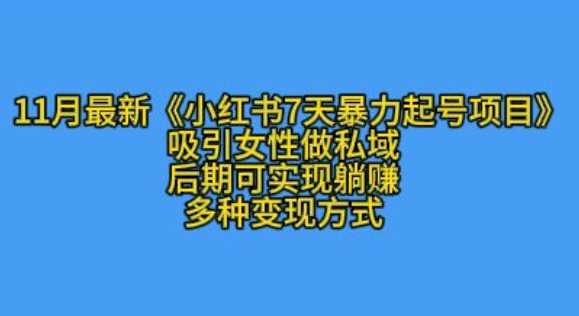 K总部落11月最新小红书7天暴力起号项目，吸引女性做私域【揭秘】-云库资源