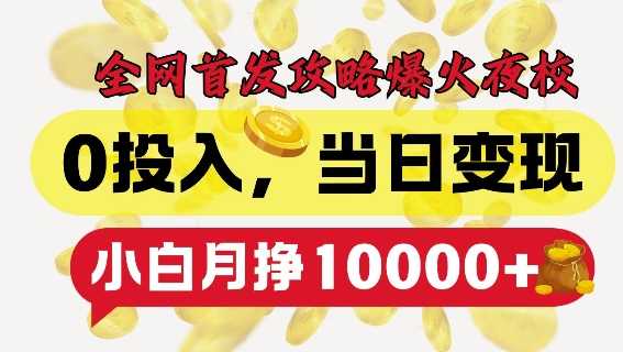 全网首发爆火夜校，0投入，当日变现，小白轻松月入1w+【揭秘】-云库资源