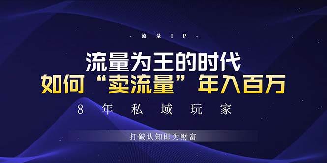 （13433期）未来如何通过“卖流量”年入百万，跨越一切周期绝对蓝海项目-云库资源