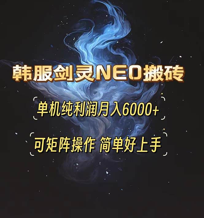（13435期）韩服剑灵NEO搬砖攻略，单机纯利润月入6000+ 可矩阵操作，简单好上手。-云库资源
