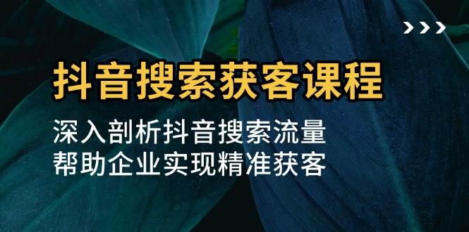 （13465期）抖音搜索获客课程：深入剖析抖音搜索流量，帮助企业实现精准获客-云库资源