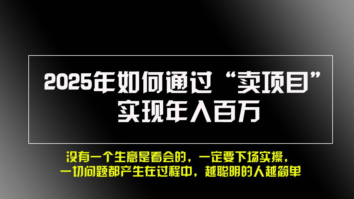 （13468期）2025年如何通过“卖项目”实现年入百万，做网赚必看！！-云库资源