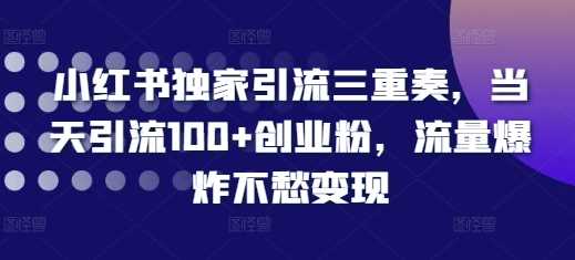 小红书独家引流三重奏，当天引流100+创业粉，流量爆炸不愁变现【揭秘】-云库资源