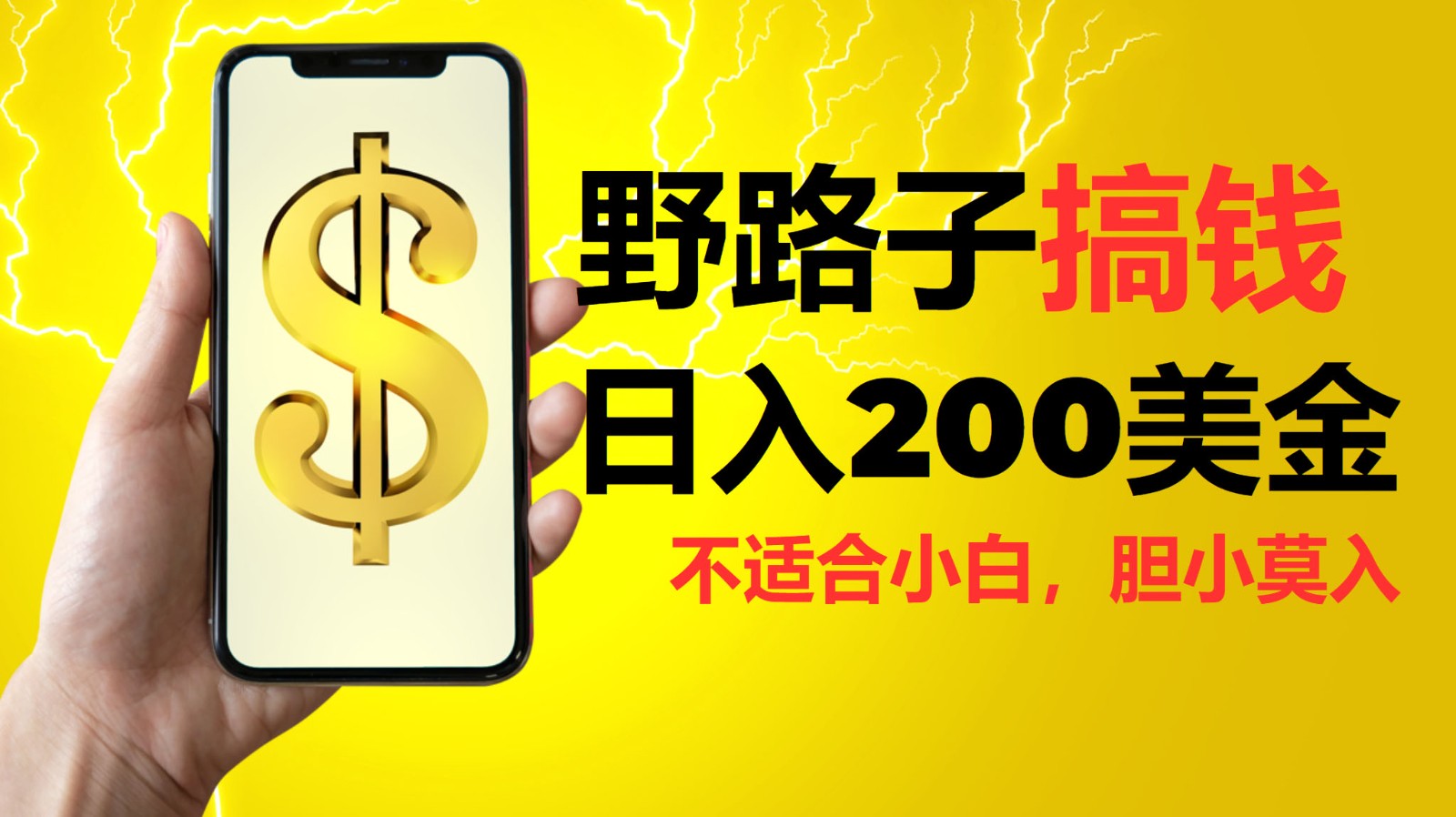 挂机野路子搞钱，日入200美金，路子很野，小白莫入-云库资源