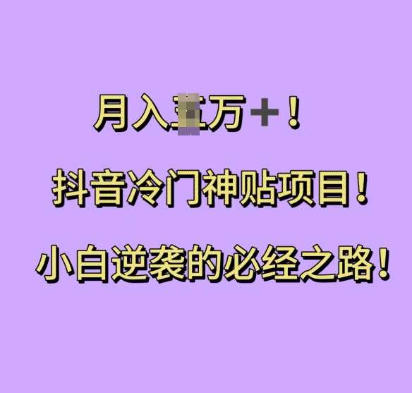 抖音冷门神贴项目，小白逆袭的必经之路，月入过W【揭秘】-云库资源